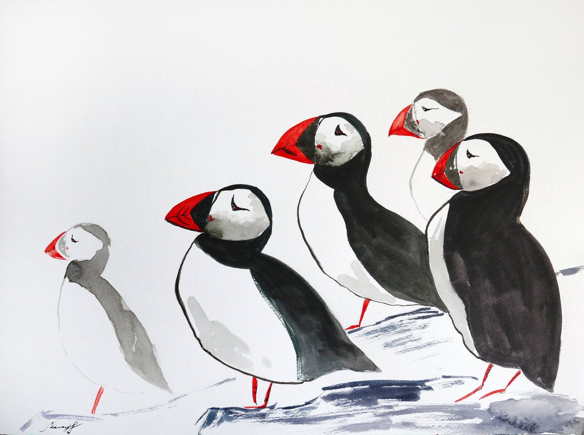 Puffins by Ekaterina Mitrofanova