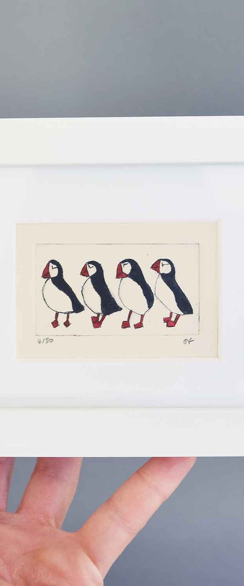 Small framed four puffins by Sally Fisher