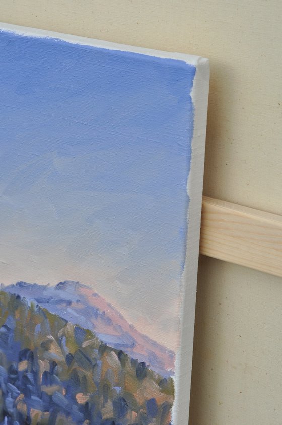 Winter afternoon on the Mézenc