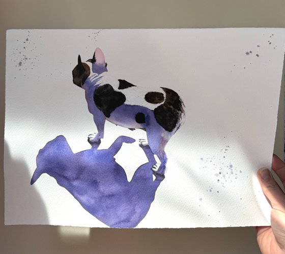 Black White Dog French Bulldog