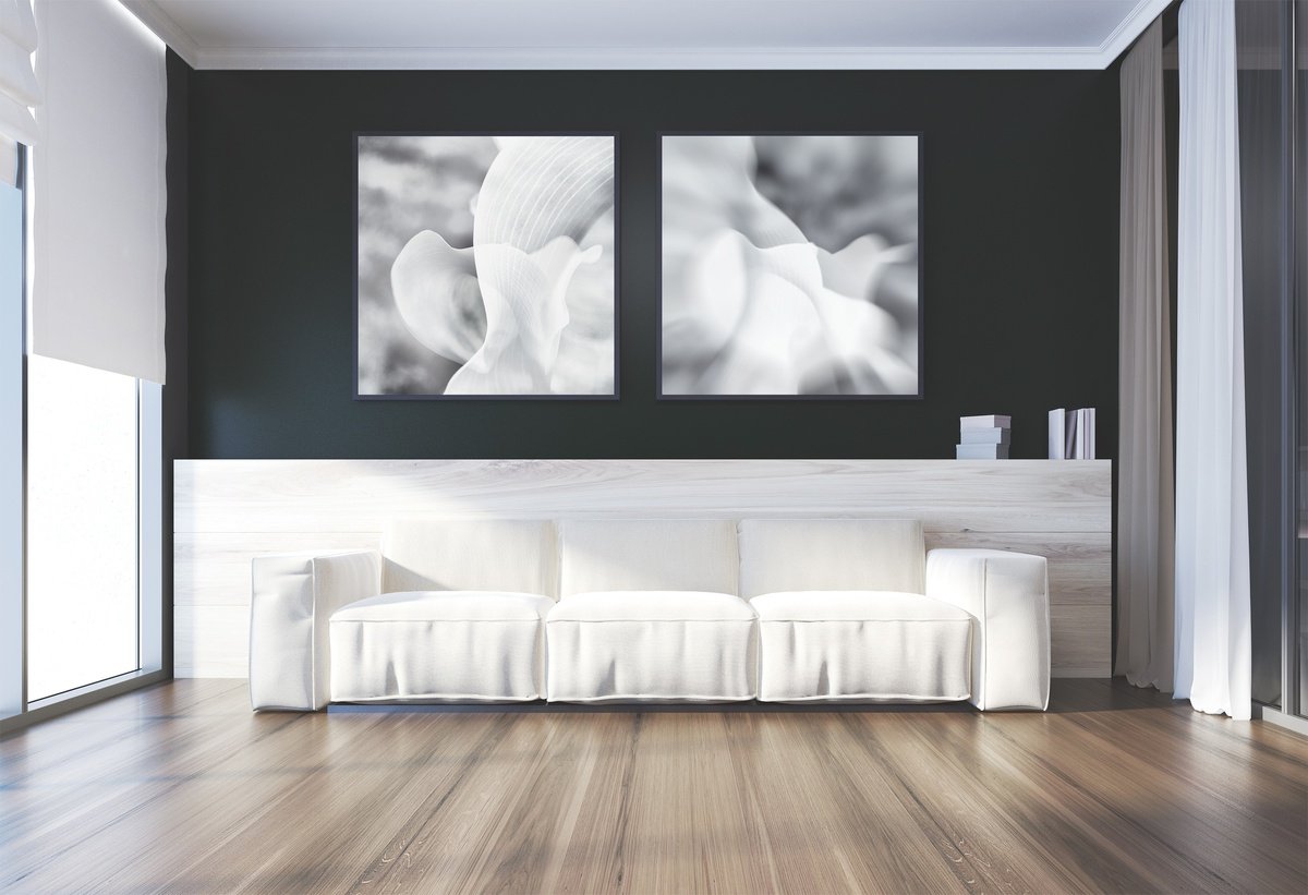 Abstract Botanical Photograph By Karim Carella, 51 X 28", Diptych N.2, Original Artwork