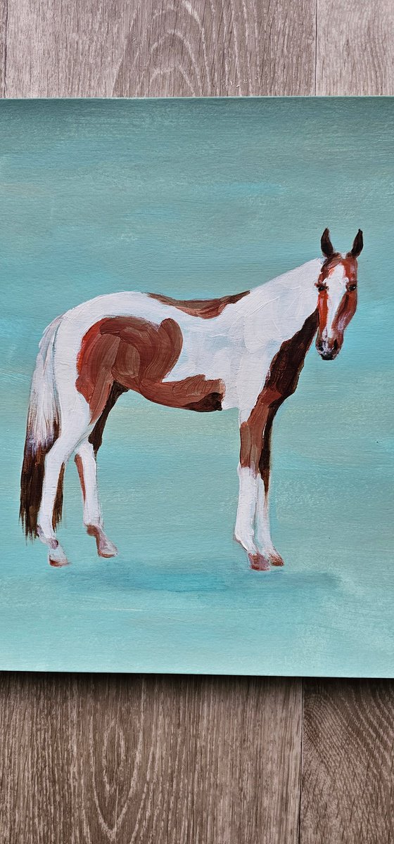 Pinto horse on aqua blue