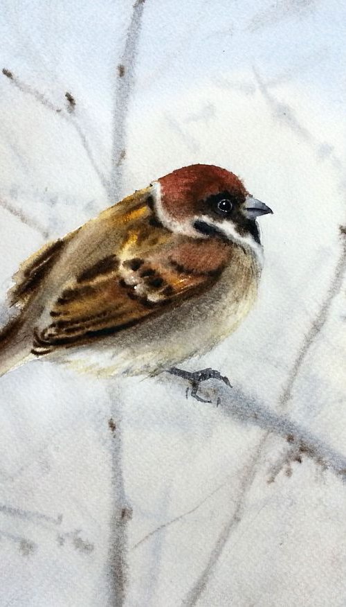 SPARROW Bird  Watercolor Sparr by Olga Beliaeva Watercolour