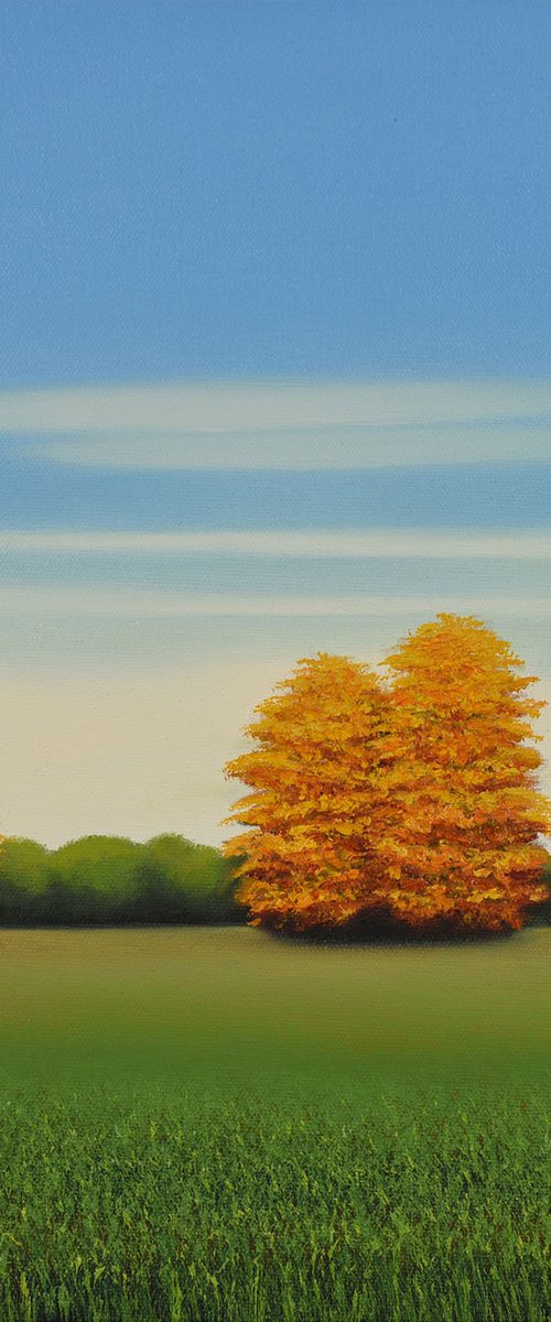 Golden Autumn Trees by Suzanne Vaughan