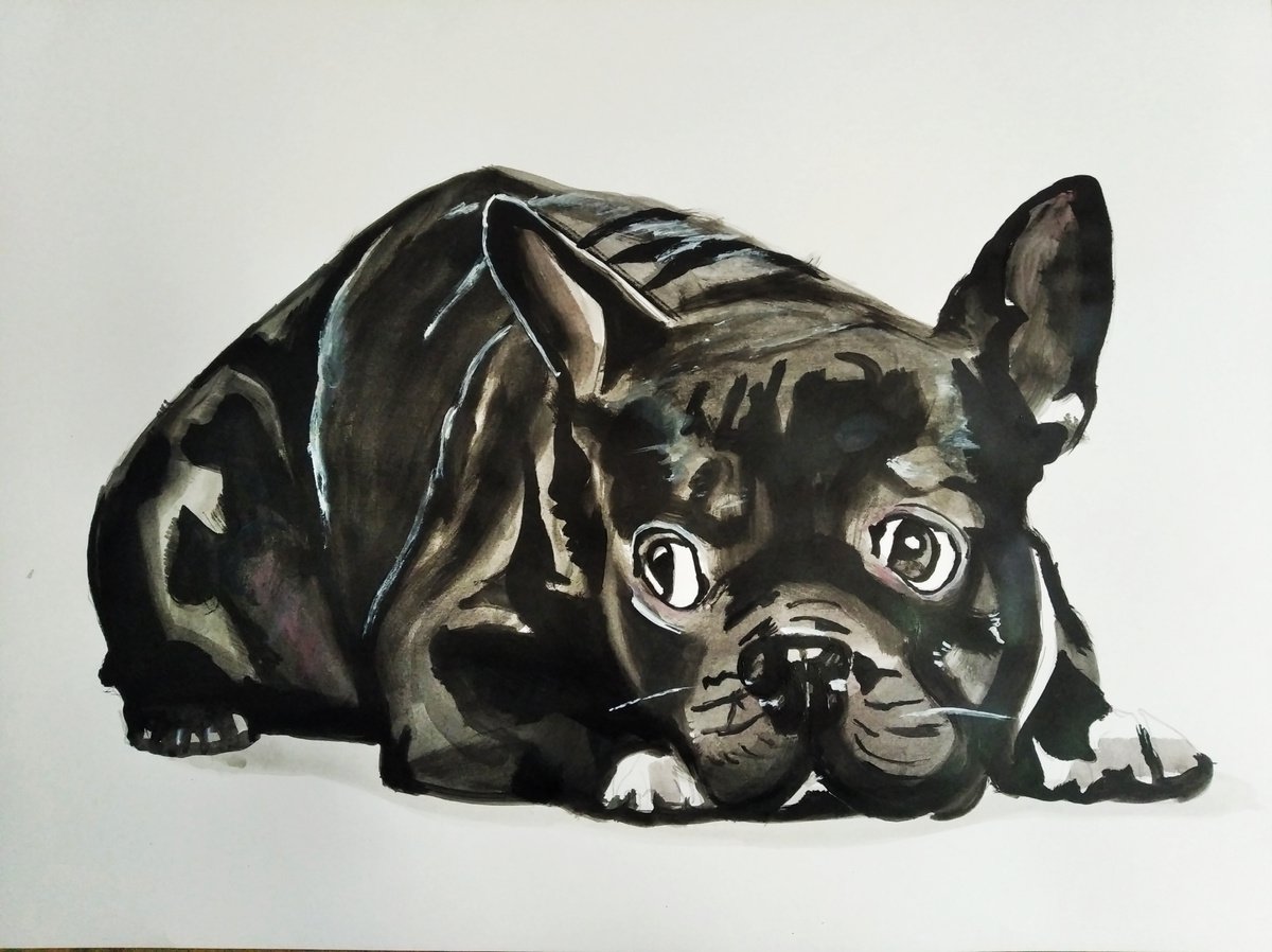 Bulldog by Soso Kumsiashvili