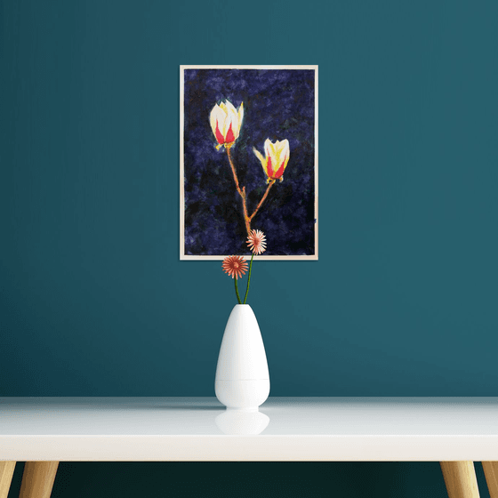 magnolia in the night