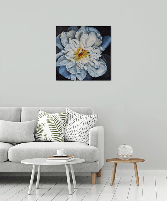 "My space" peony  flower 2022