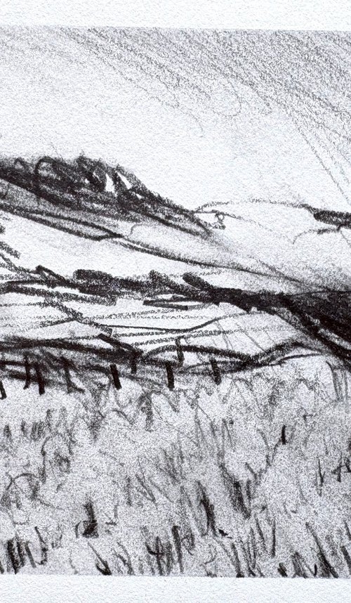 Pennsylvania Fields 4 by Steve Potts