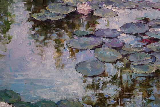 "Water Lily Symphony"