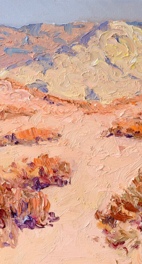 Sunny Midday. Desert by Suren Nersisyan