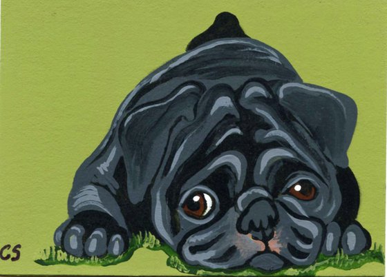 ACEO ATC Original Miniature Painting Black Pug Pet Dog Art-Carla Smale