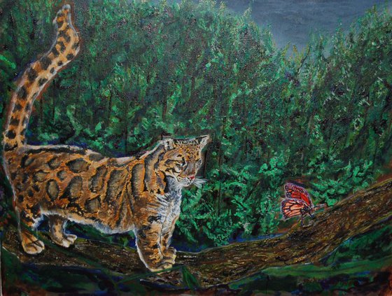 The Cloud Leopard and The Butterfly