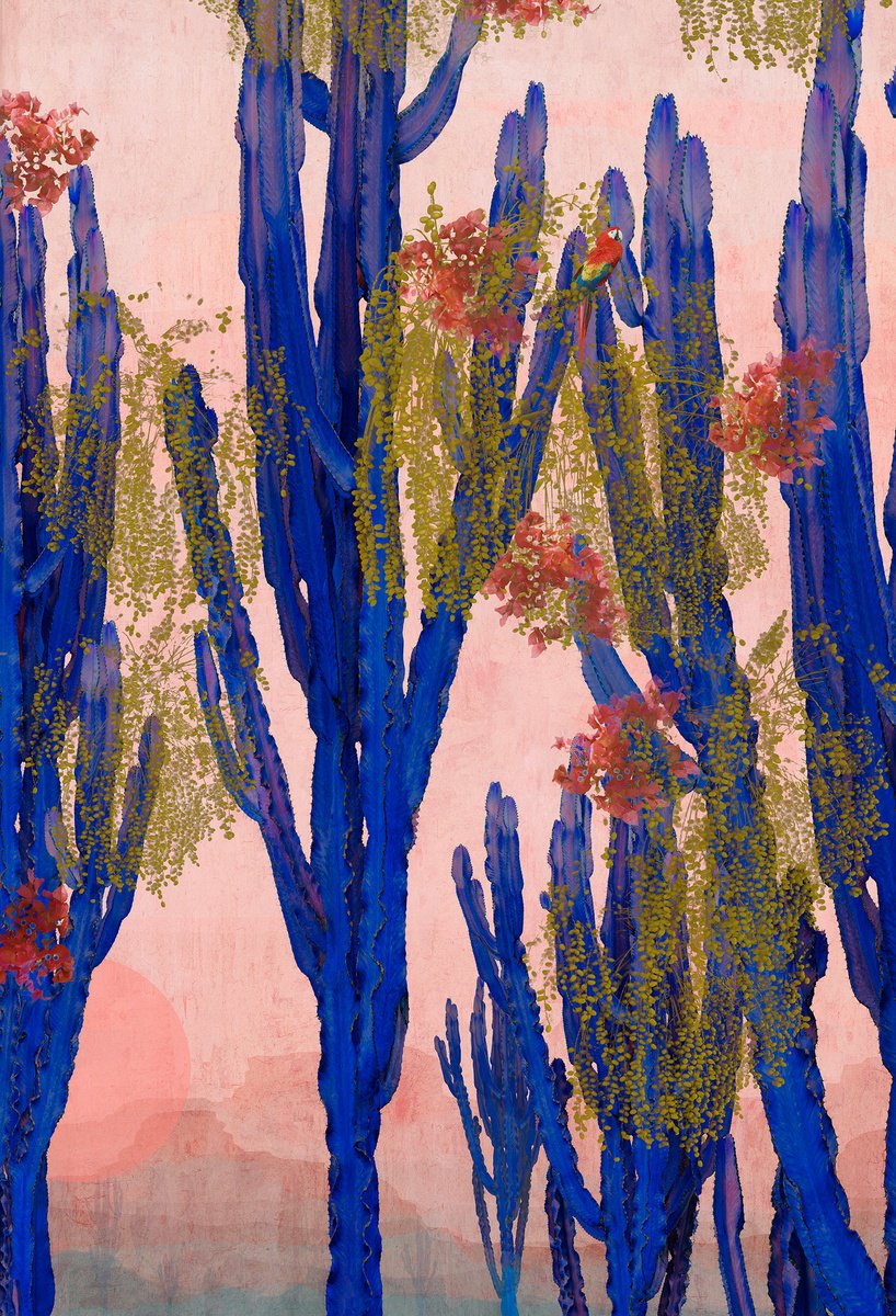 Impressionistic Photograph , Cactus Ravine By Nadia Attura, 20 X 28, Artwork For Sale On Artfinder