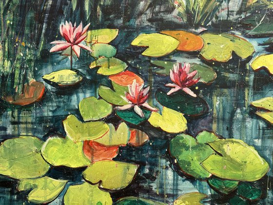 Lotus pond
