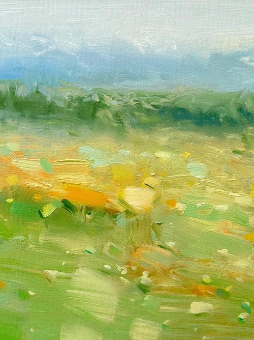 Meadow, Original oil painting, Handmade artwork, One of a kind by Vahe Yeremyan