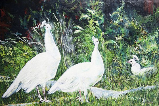 White Peacocks Large painting 85 cm x 59 cm