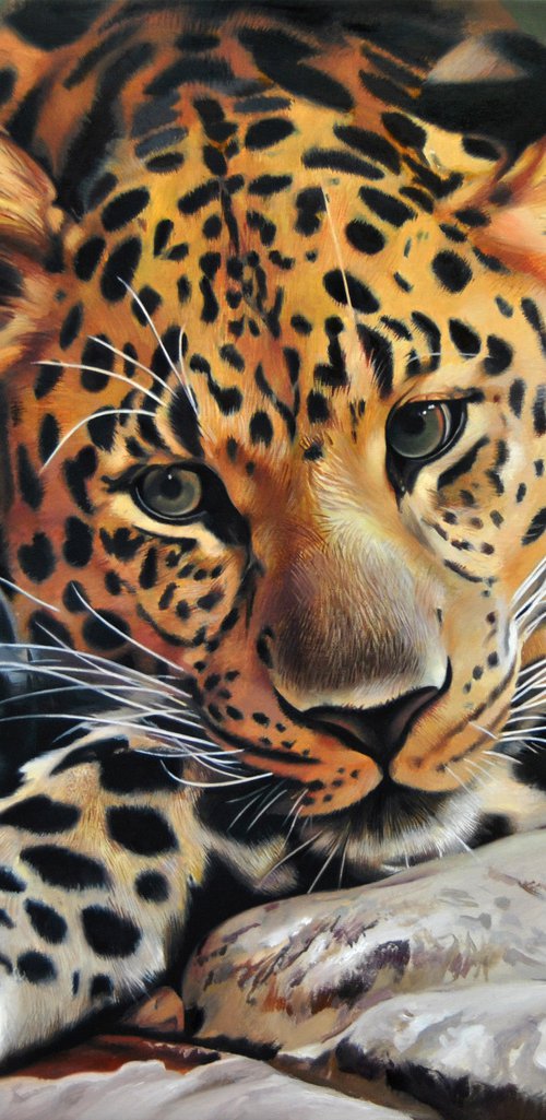 Leopard by Valeri Tsvetkov