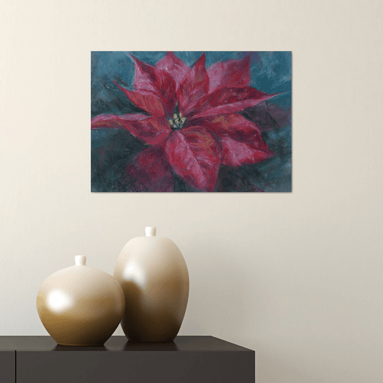 Red poinsettia flower