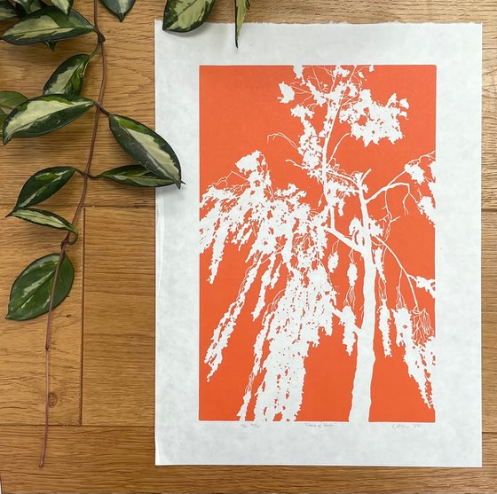 Birch Tree Linocut Print