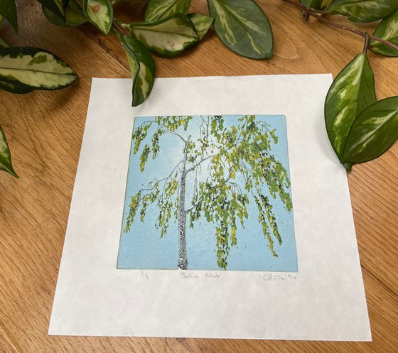 Birch Tree Linocut Print