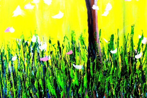 Magnolia Spring