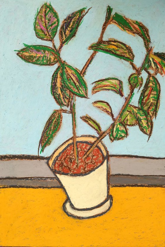 Plant №3