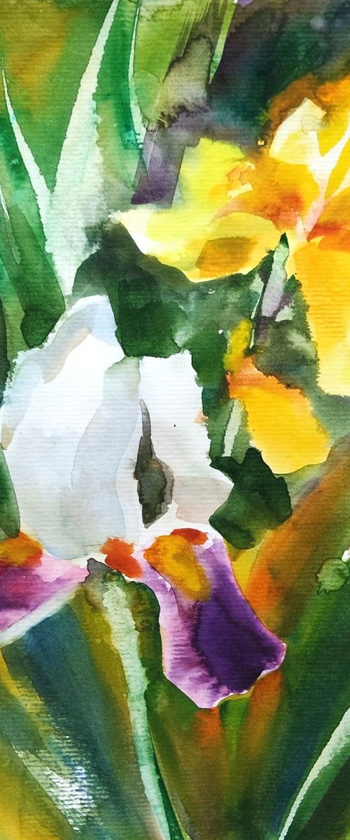 Purple White and Yellow Irises Loose Watercolor Painting by Ion Sheremet