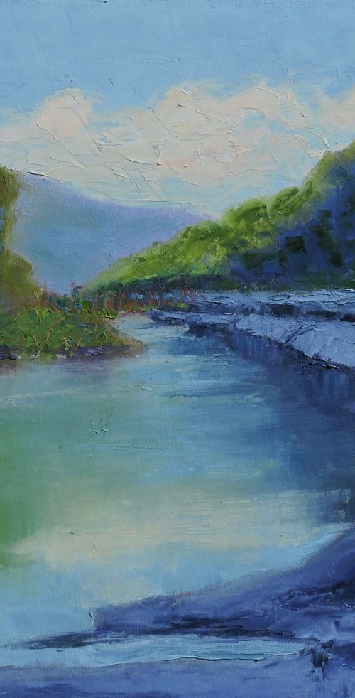 Cherry Creek in Summer by Linda Mooney