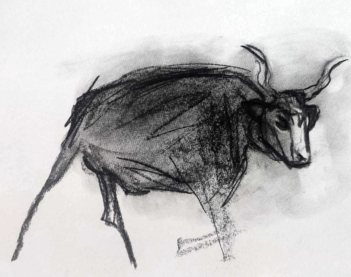 Expressive Animal Charcoal Drawing By Lionel Le Jeune, 17 X 11", Bull, Original Artwork