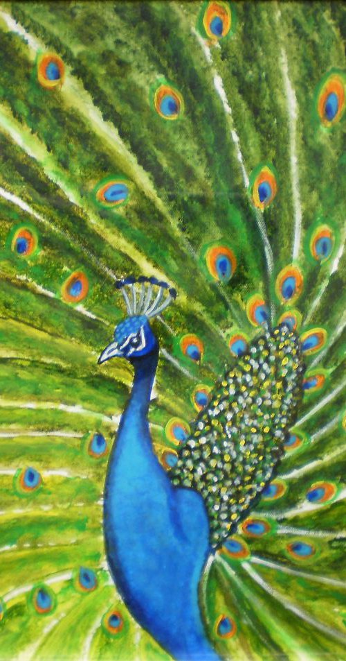 Glorious Peacock by Manjiri Kanvinde