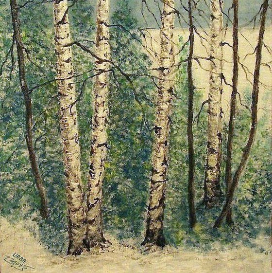 Birches in winter ..