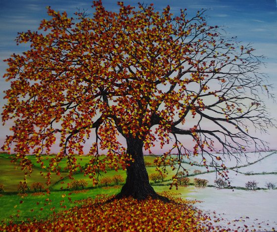 Oak tree in Autumn and Winter