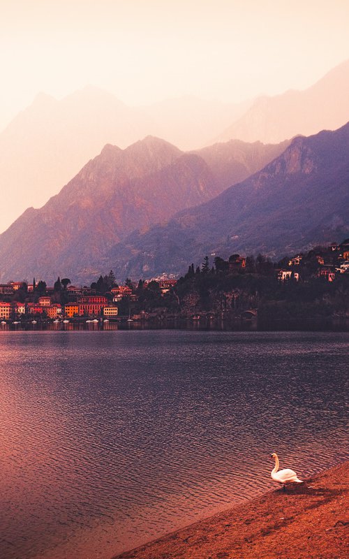 Evening on the Como Lake by Elena Raceala