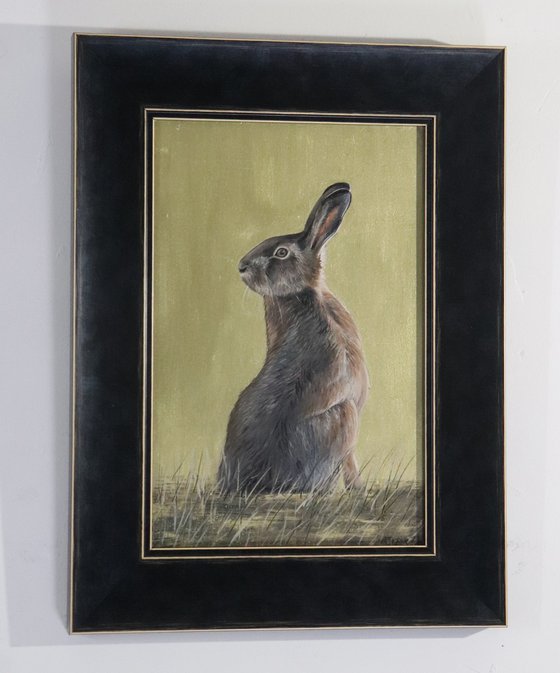 Golden Hare - Portrait I