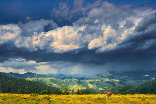 Summer on a mountain pasture. by Valerix