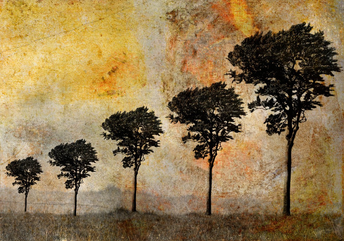 Landscape Photograph By Claire Newman-Williams, 24 X 18, The Ascent, Original Artwork