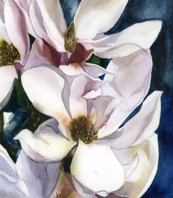 spring magnolia watercolor