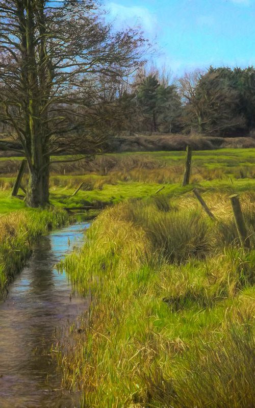 The Stream in the Meadow by Martin  Fry