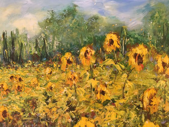 Sunflowers