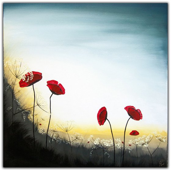 Dusk Poppies