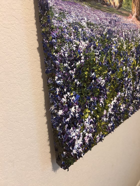 Sunlit Dreams Bluebonnets