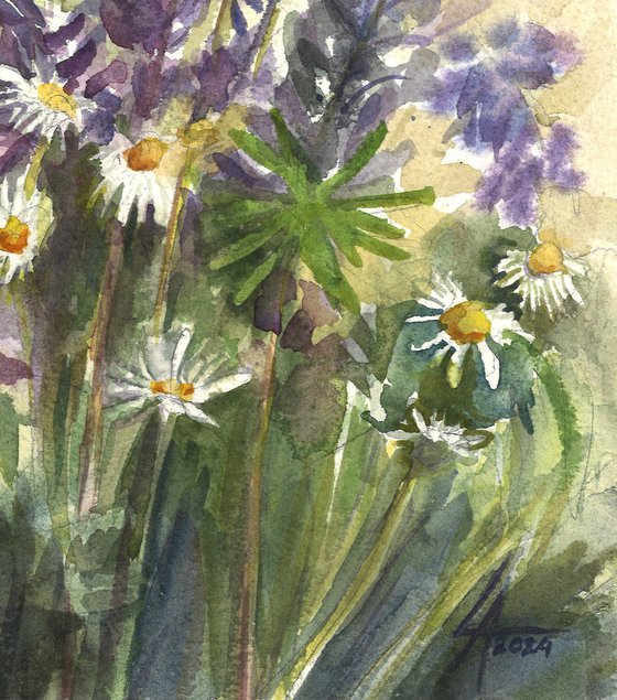 Lupine Fields