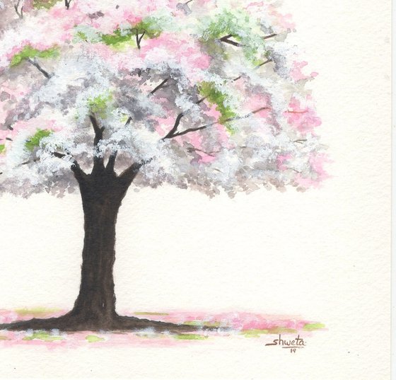 Cherry blossom