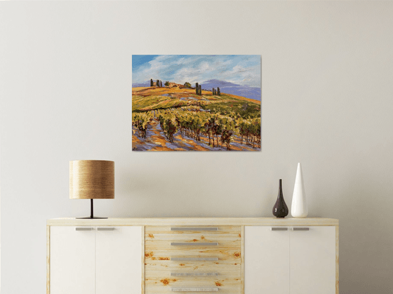 Vignes sous le soleil