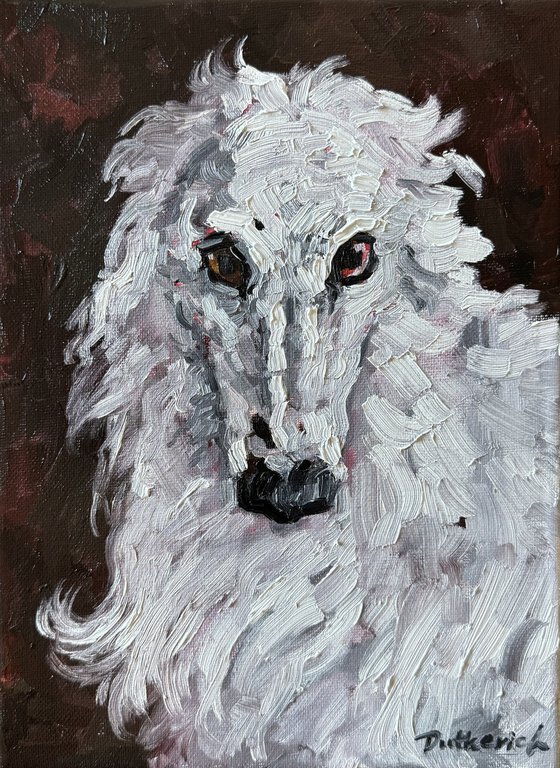 White greyhound