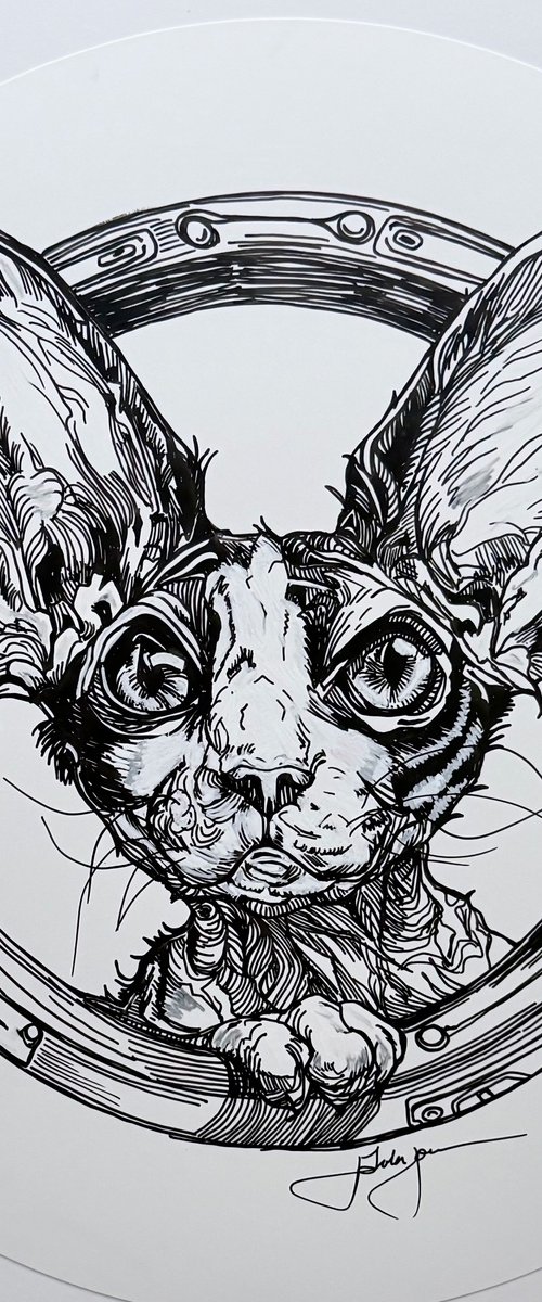 Nigel by Lola Jovan
