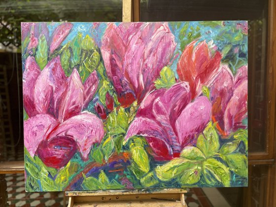 MAGNOLIAS