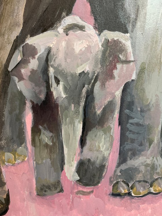 Elephant