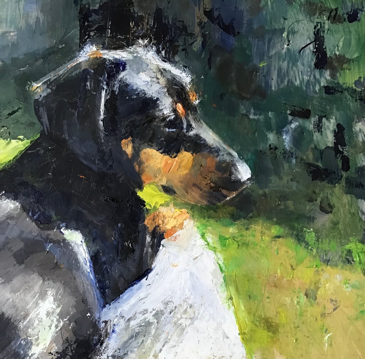 Impressionistic Animal Oil Painting By Sandra Haney, 10 X 10", Sunbathing Dachshund, Original Artwork