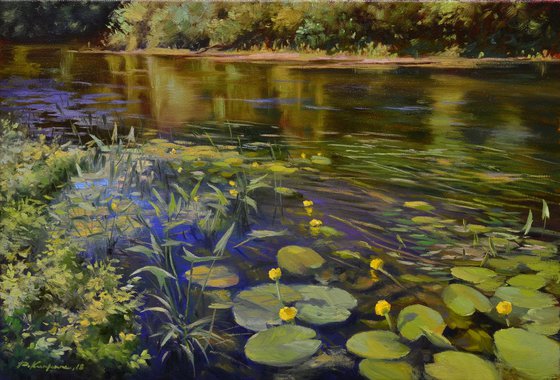 The kingdom of water lilies 40x60cm
